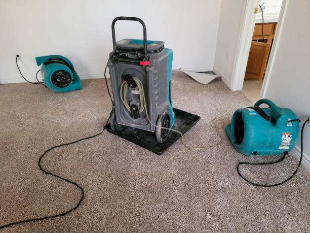 Best Flood damage cleanup  in Jasper, IN