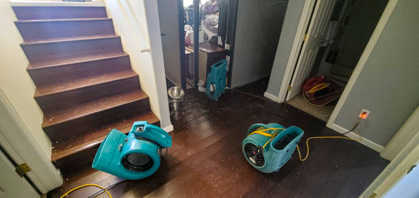 Best Water damage restoration process  in Jasper, IN