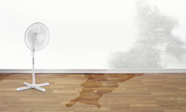 Best 24/7 water damage repair  in Jasper, IN
