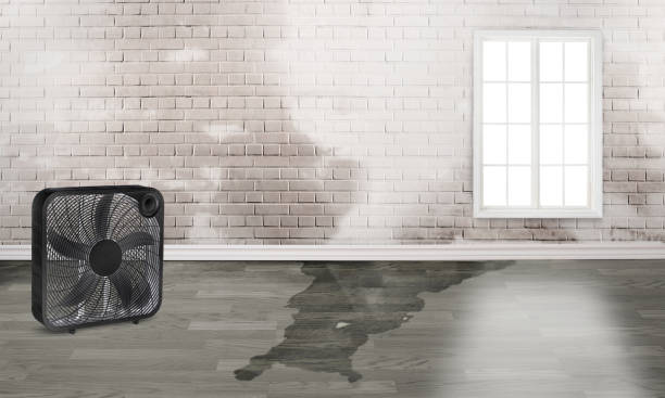 Best Fire Damage Restoration  in Jasper, IN