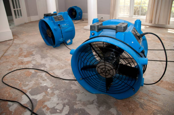 Best Water damage cleanup near me  in Jasper, IN