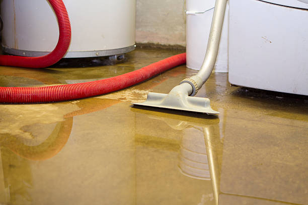 Best Water damage restoration cost  in Jasper, IN