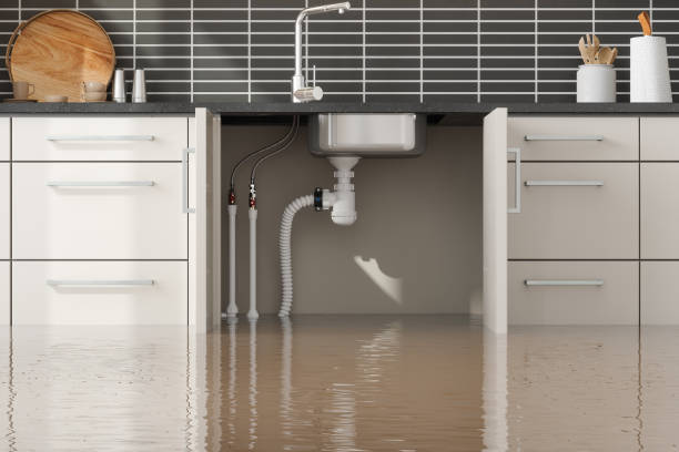 Best Commercial water damage restoration  in Jasper, IN